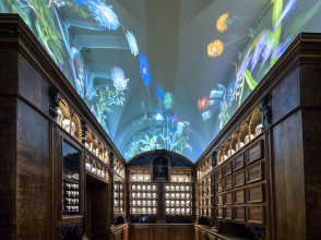 Cité Internationale de la Gastronomie / La petite Apothicairerie © Thierry Fournier / Métropole de Lyon