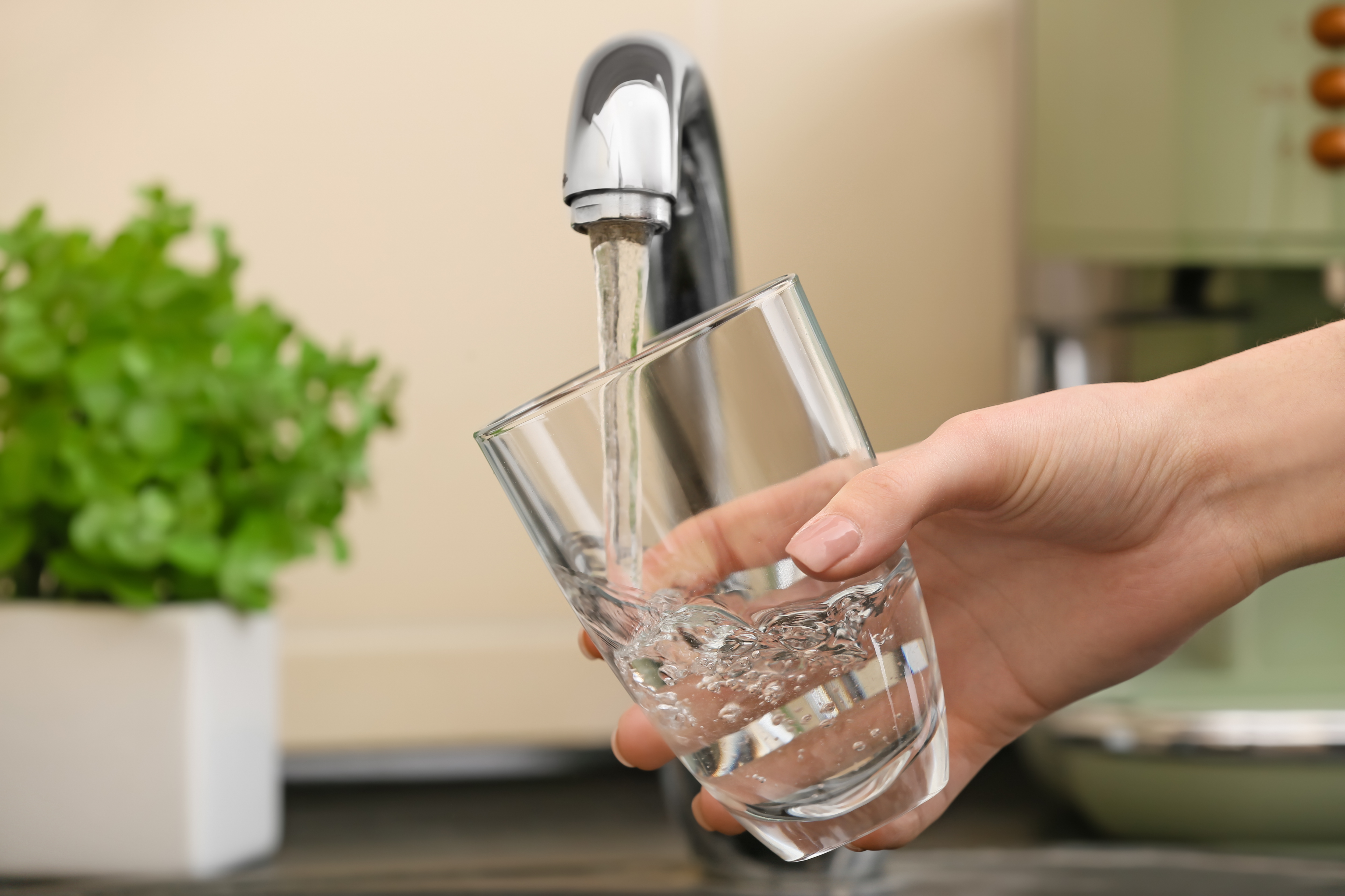 Boire l'eau du robinet © Pixel-Shot / Shutterstock_1674109081