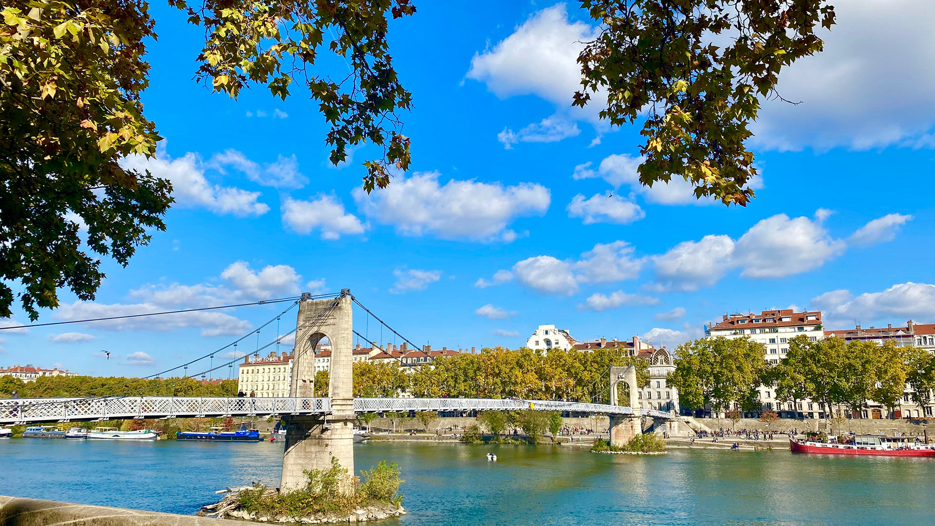 Passerelle du Collège, Rhône © Elena Ska / Shutterstock_1837488040