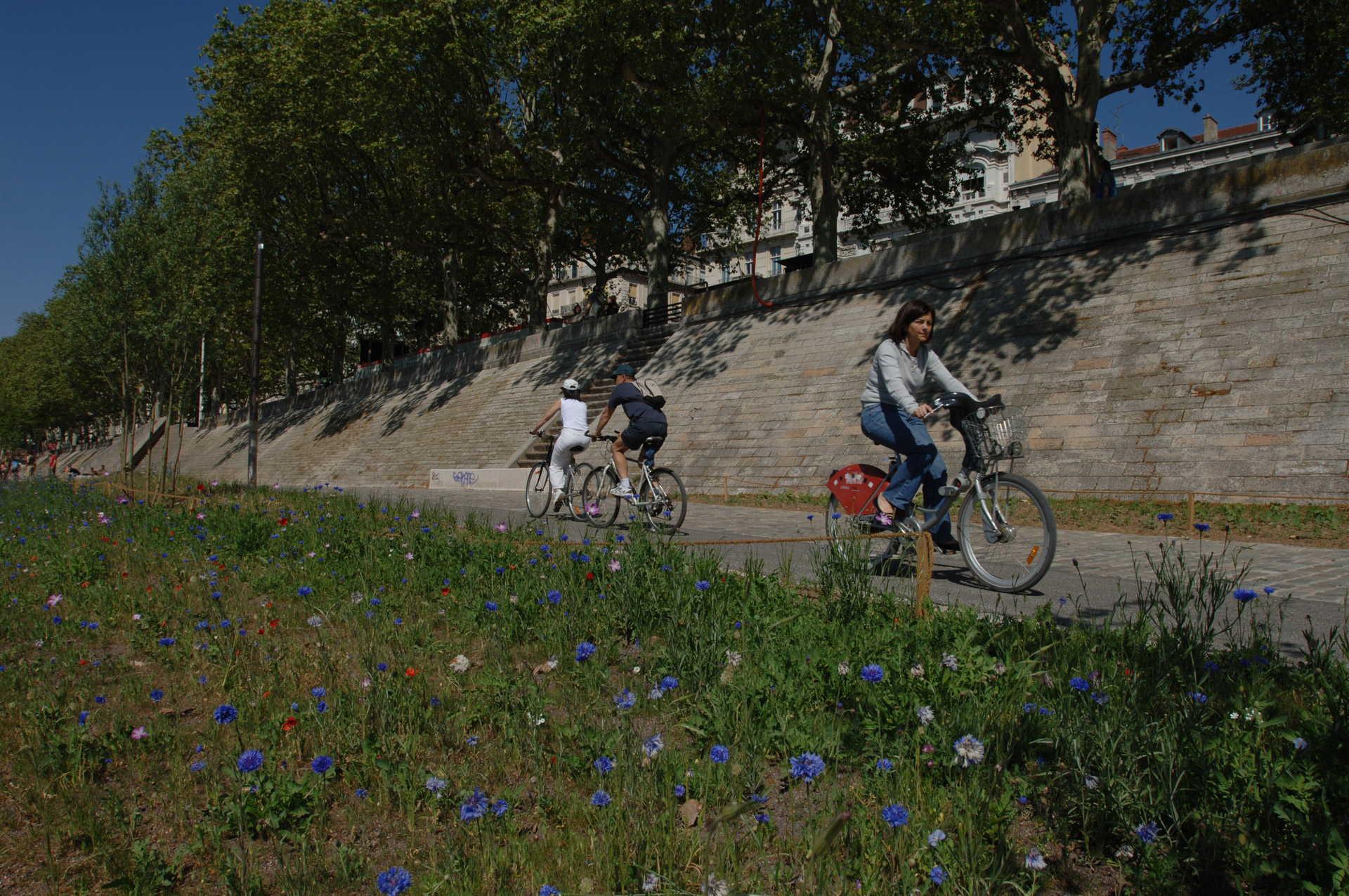 Les Berges du Rhône à vélo ©Jacques Léone