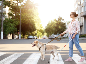 Femme non voyante avec son chien-guide © Pixel Shot / Shutterstock 1466396555